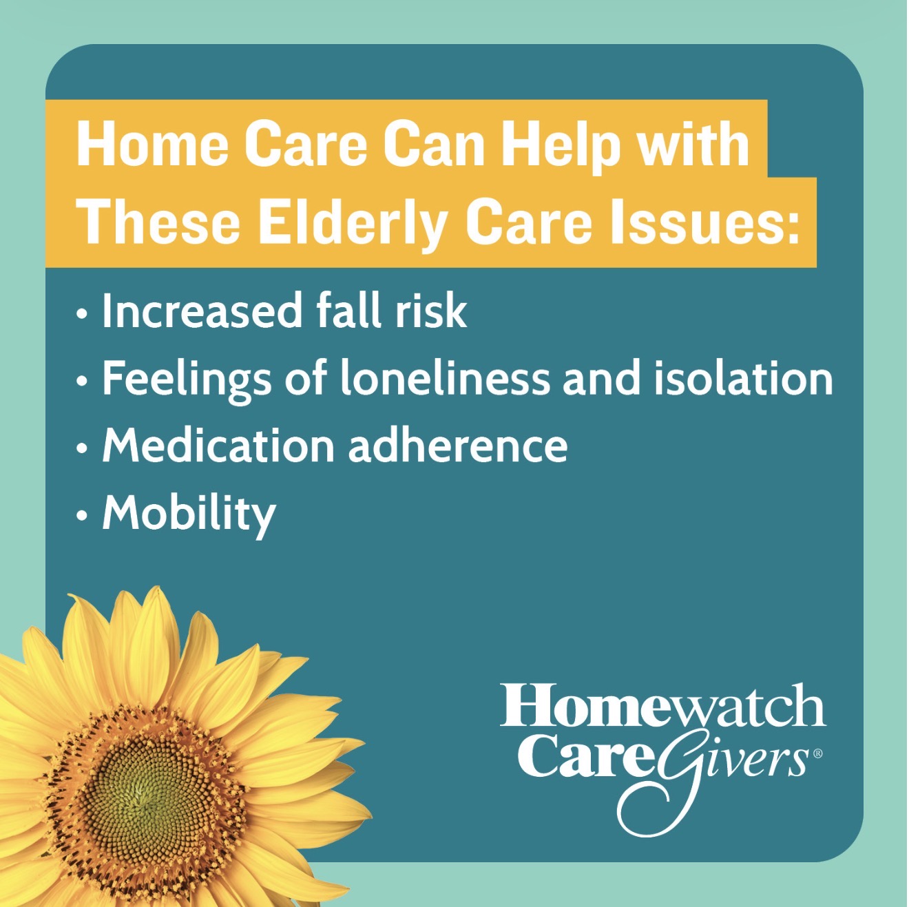Homewatch CareGivers Image #2