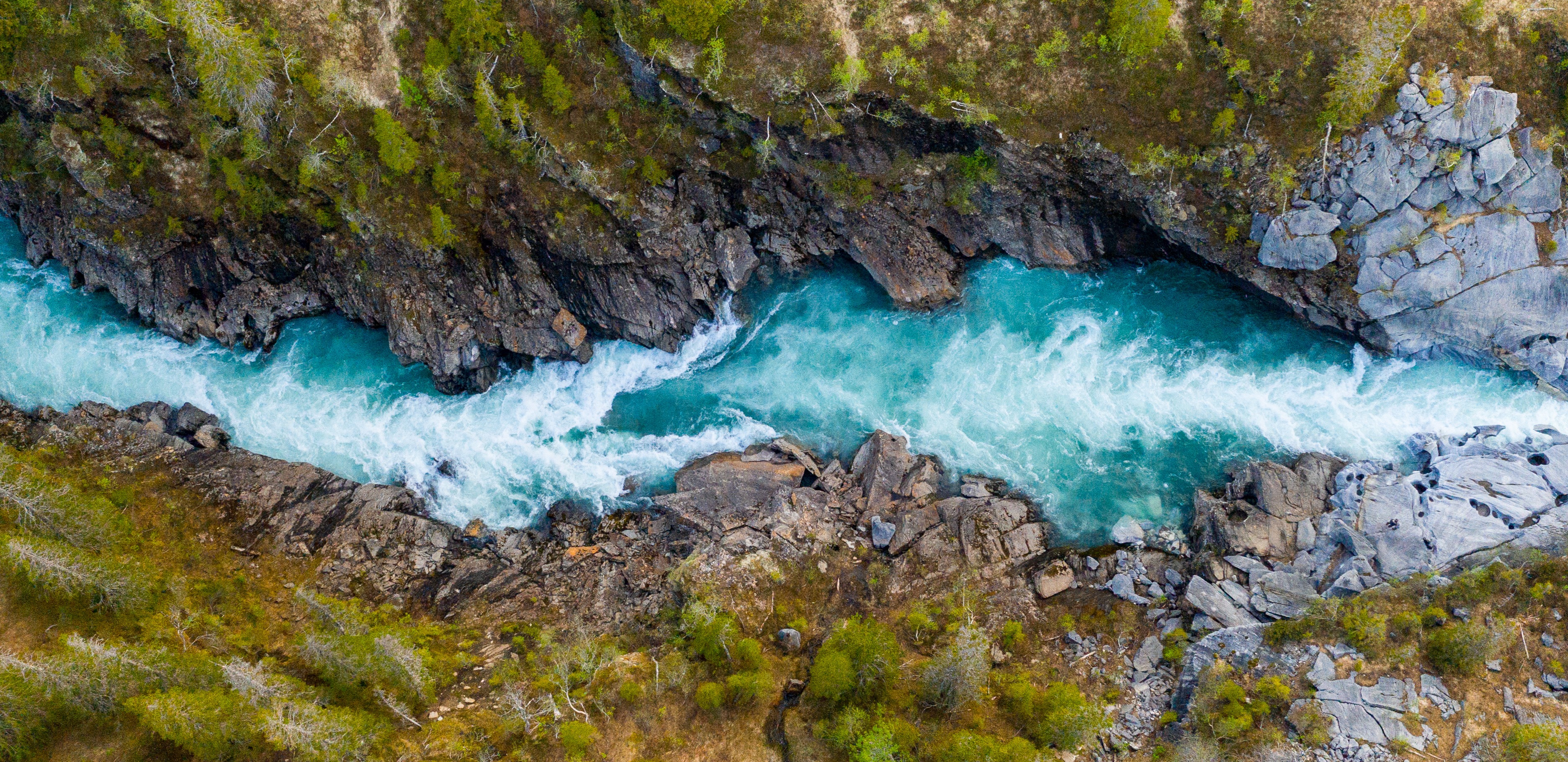 Caring for Others Image #2