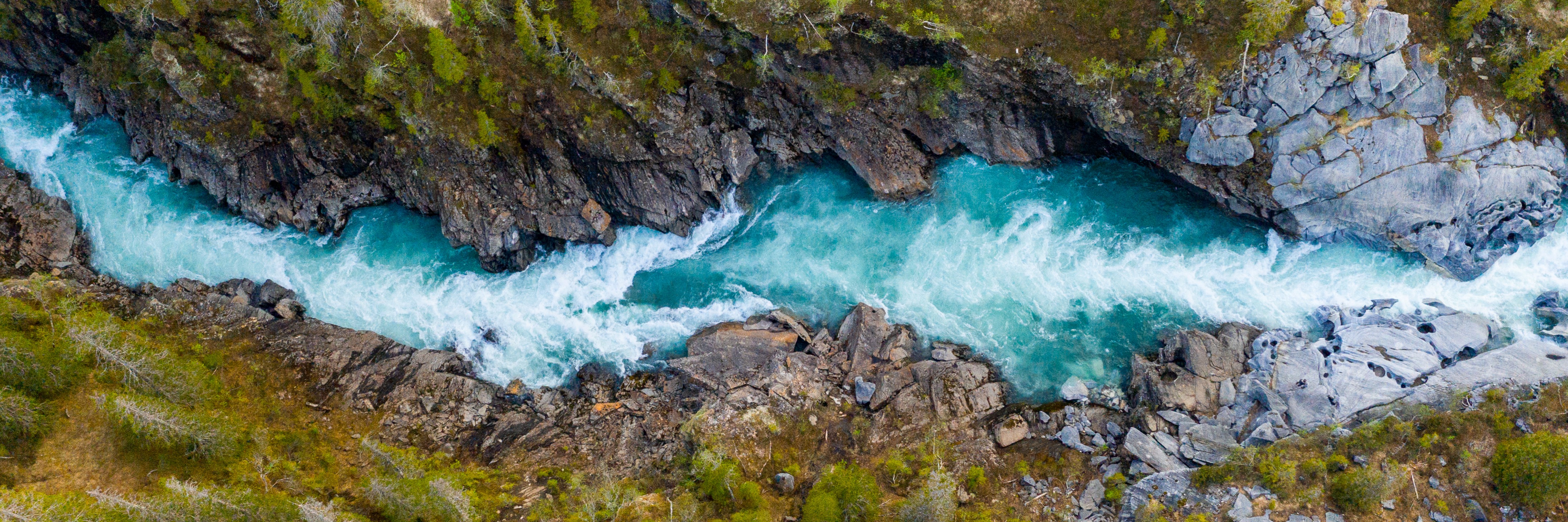 Caring for Family of Companies